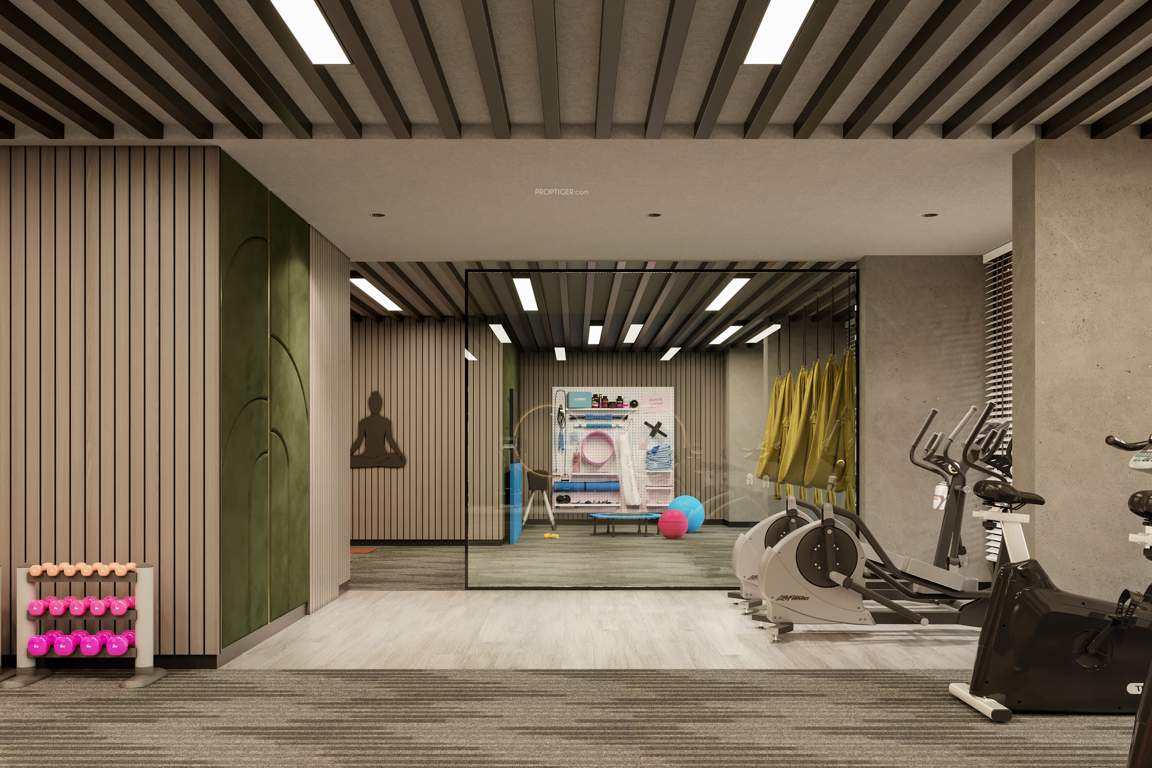  vraj central vista Gymnasium