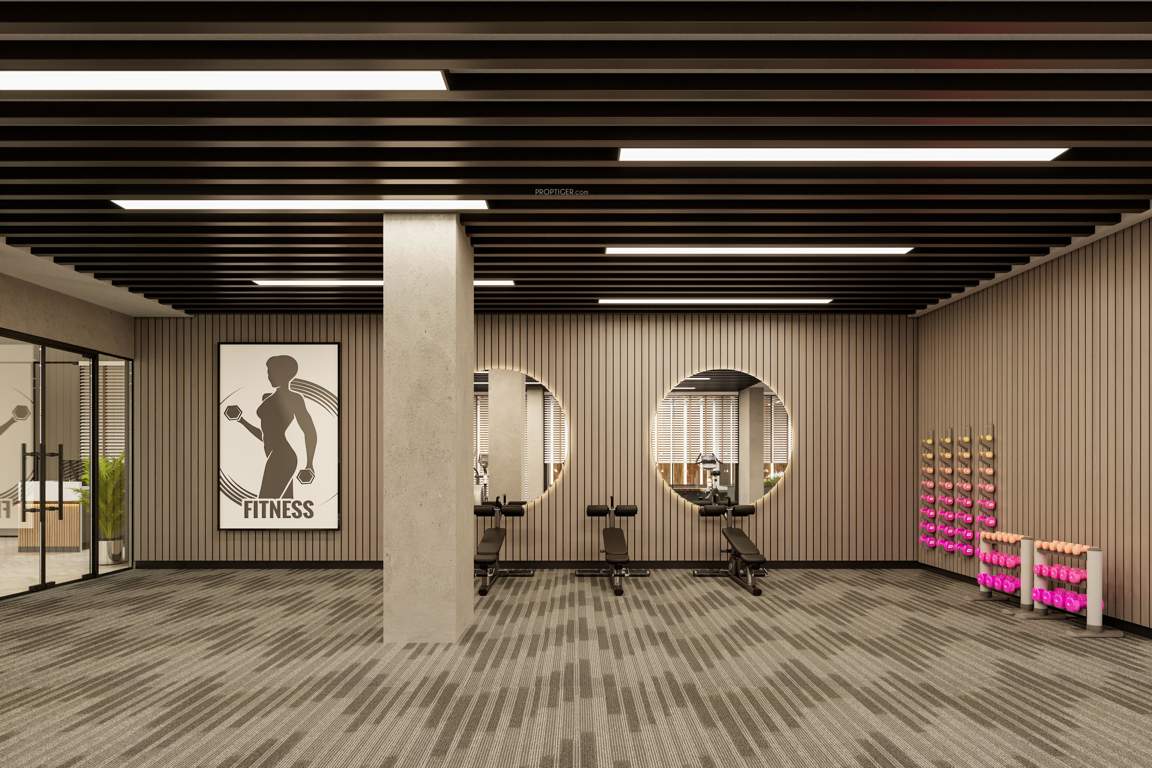  vraj central vista Gymnasium