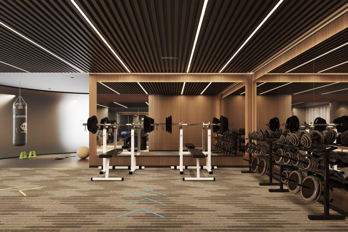  vraj central vista Gymnasium