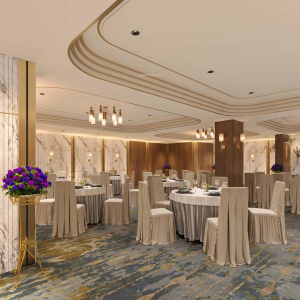  vraj-central-vista Multipurpose Hall