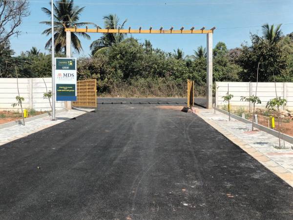  daffodils Gated Community