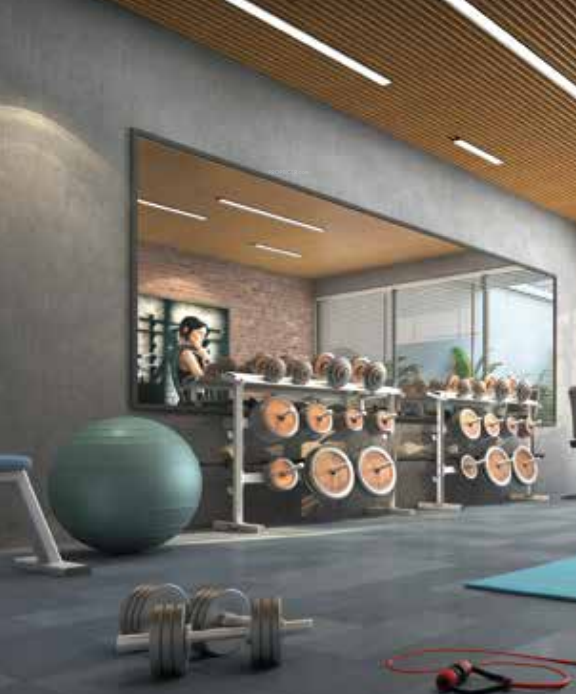  the-4th-axis Gymnasium