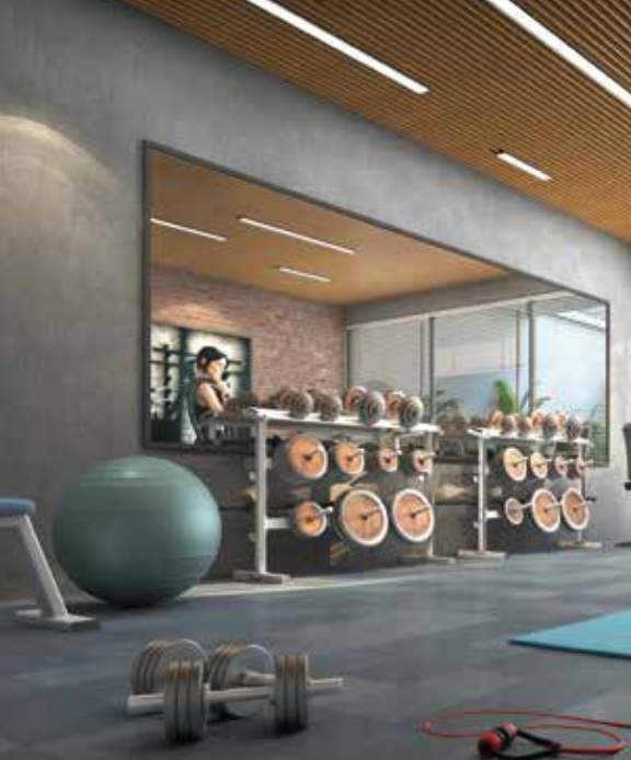  the 4th axis Gymnasium