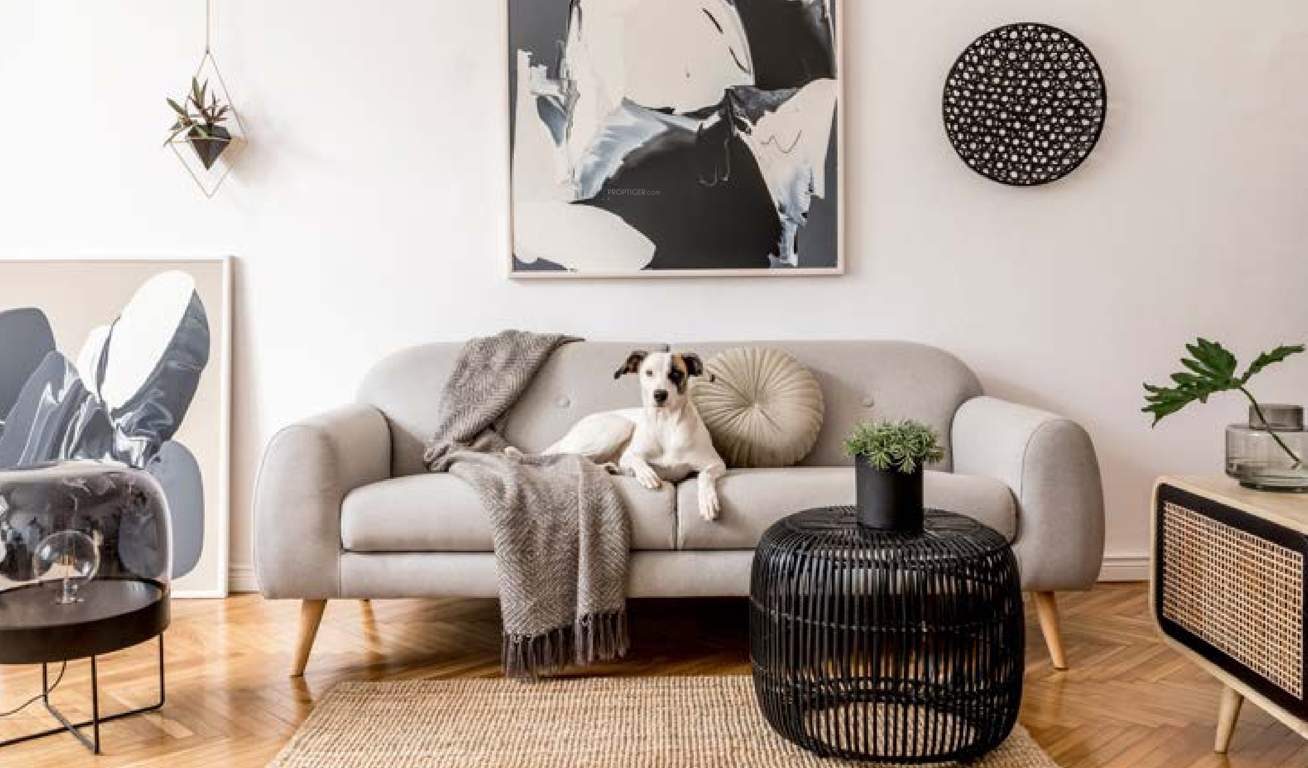  green field Living Area