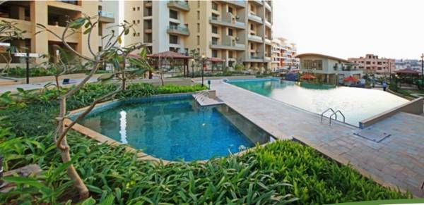 homes-solitaire-phase-iii Swimming Pool