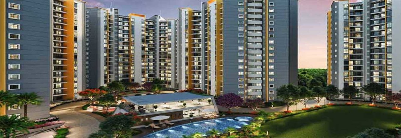  sensorium phase vii Elevation