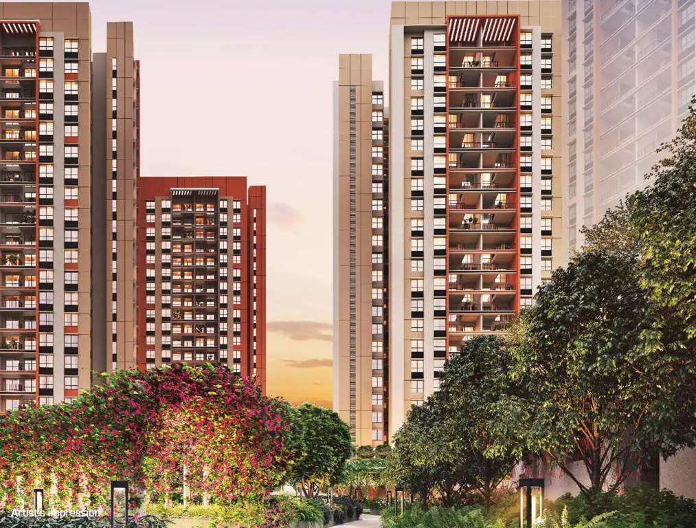  sensorium phase vii Elevation