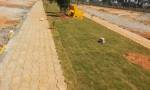  vistara-phase-3 Internal Roads & Footpaths