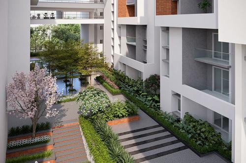  aarna Landscape Garden and Tree Planting