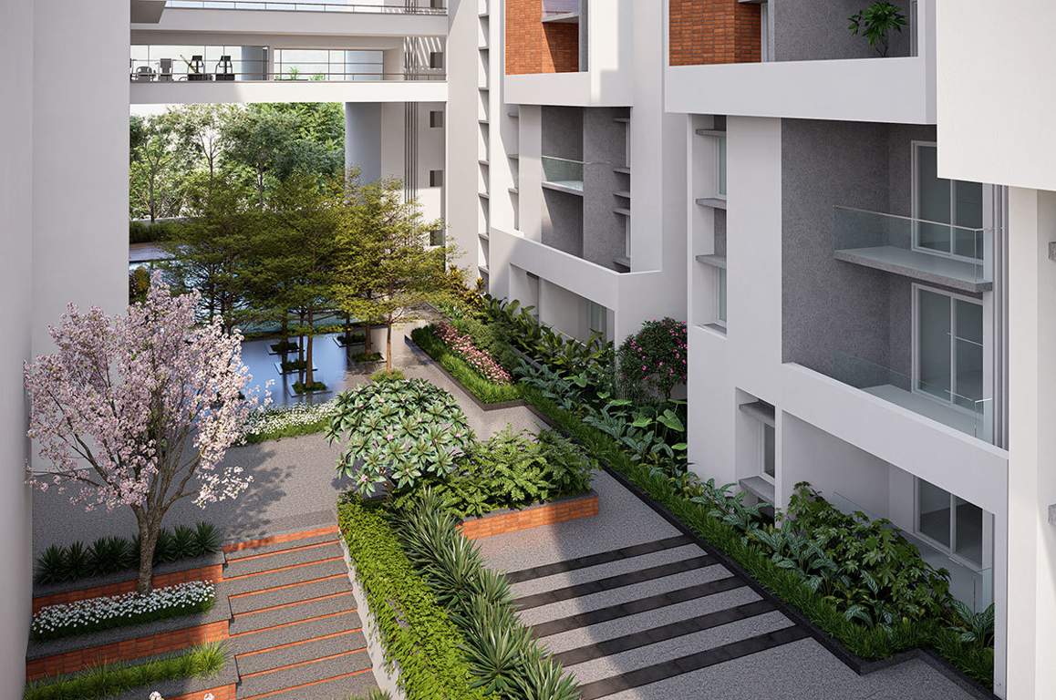  aarna Landscape Garden and Tree Planting