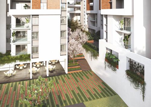  aarna Landscape Garden and Tree Planting