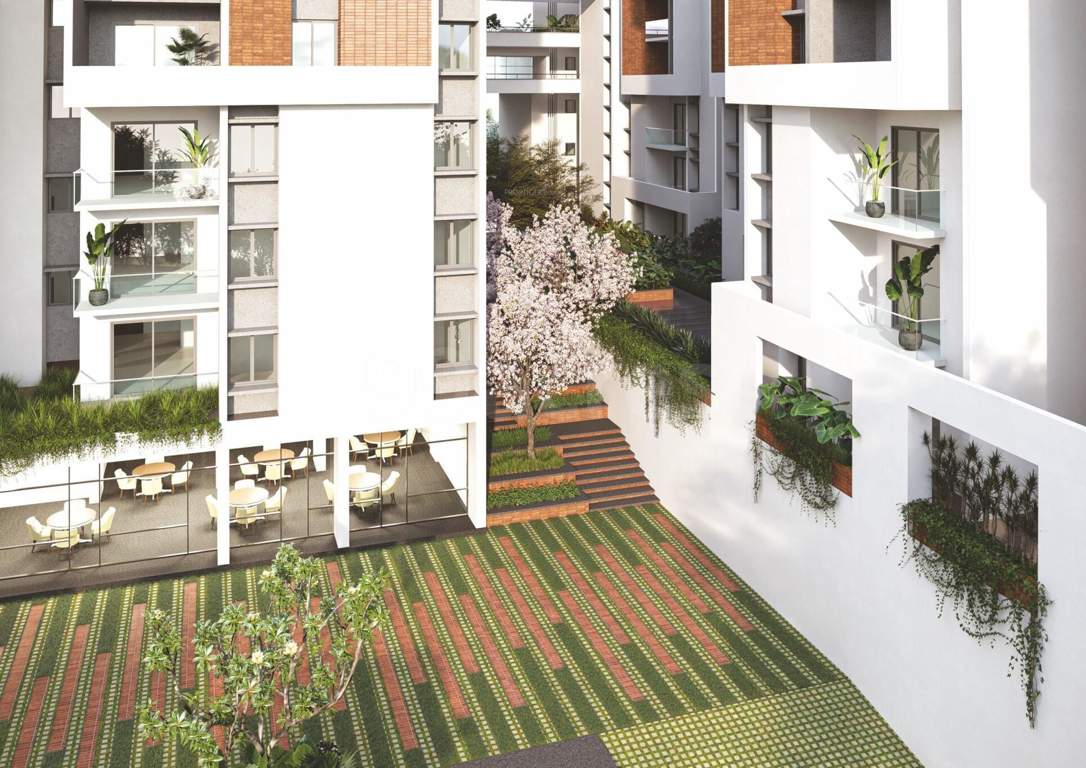  aarna Landscape Garden and Tree Planting