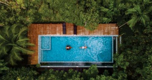  the-botanical-eco-living-spaces Swimming Pool