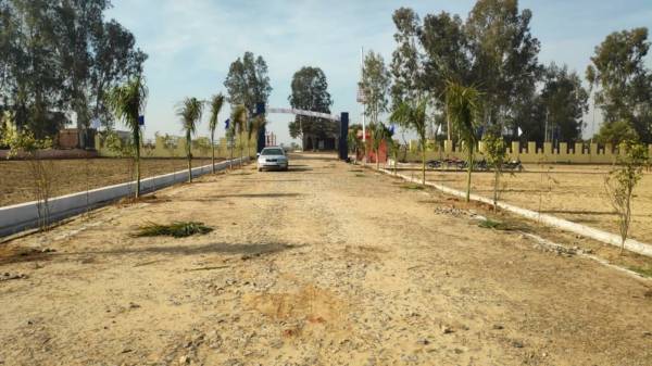  royal-city Elevation