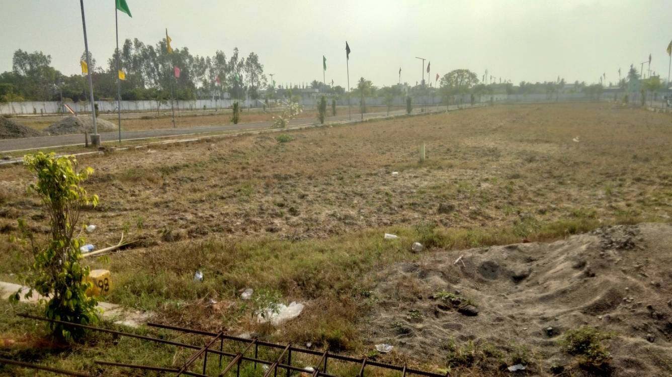  ria srinivasa palms Plot