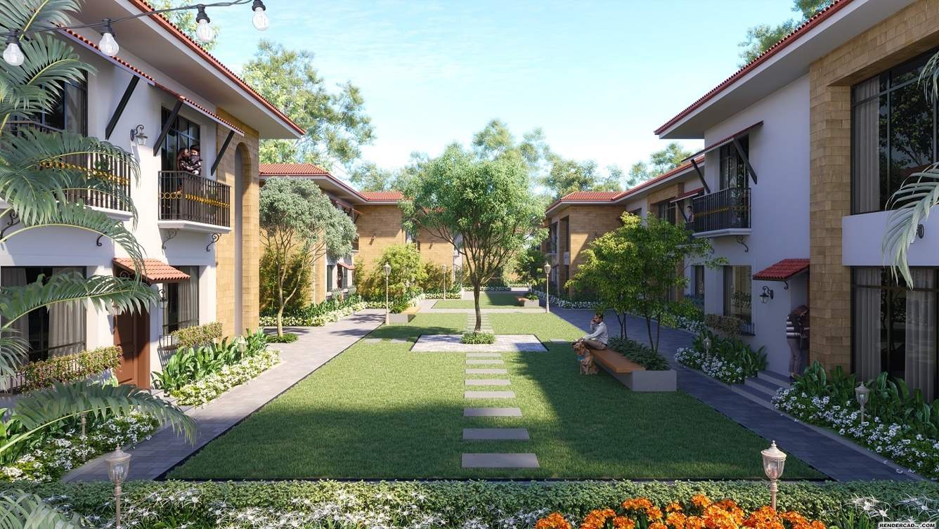  cliff residences Landscape Garden and Tree Planting