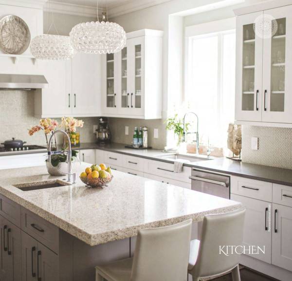  vedant-palacia Kitchen