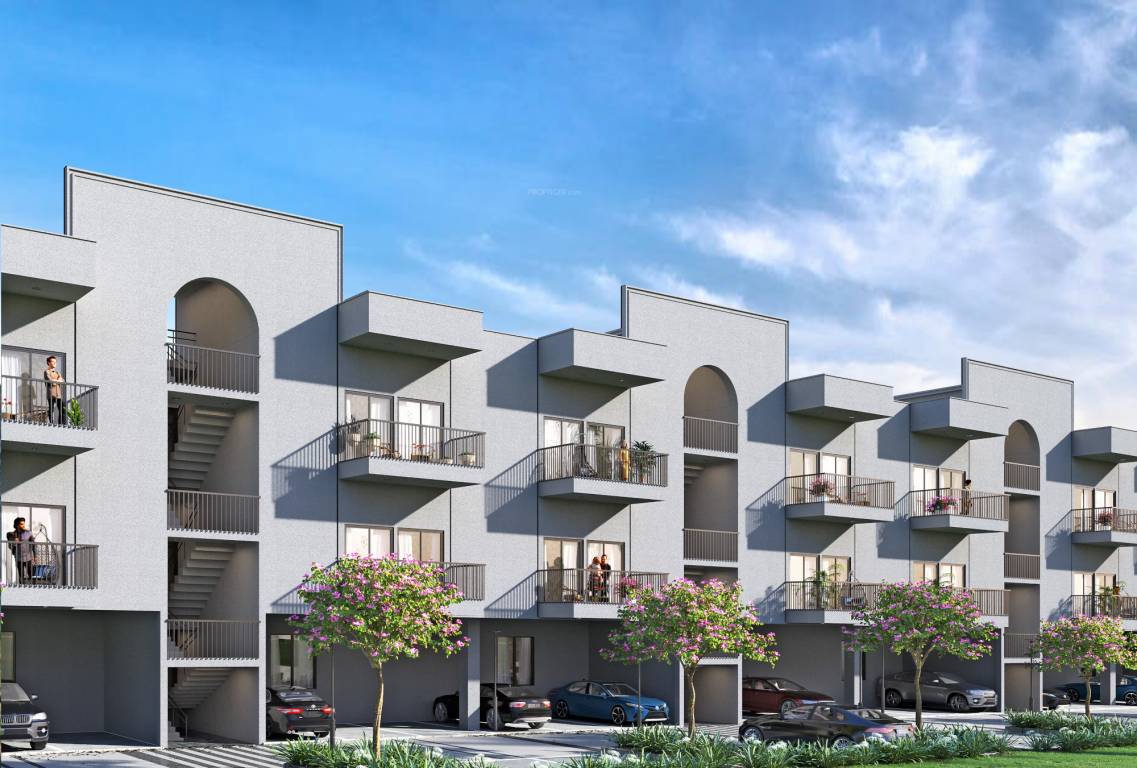  the sezasthan Elevation