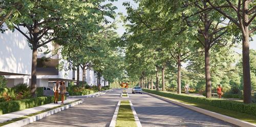  city-93 Landscape Garden and Tree Planting