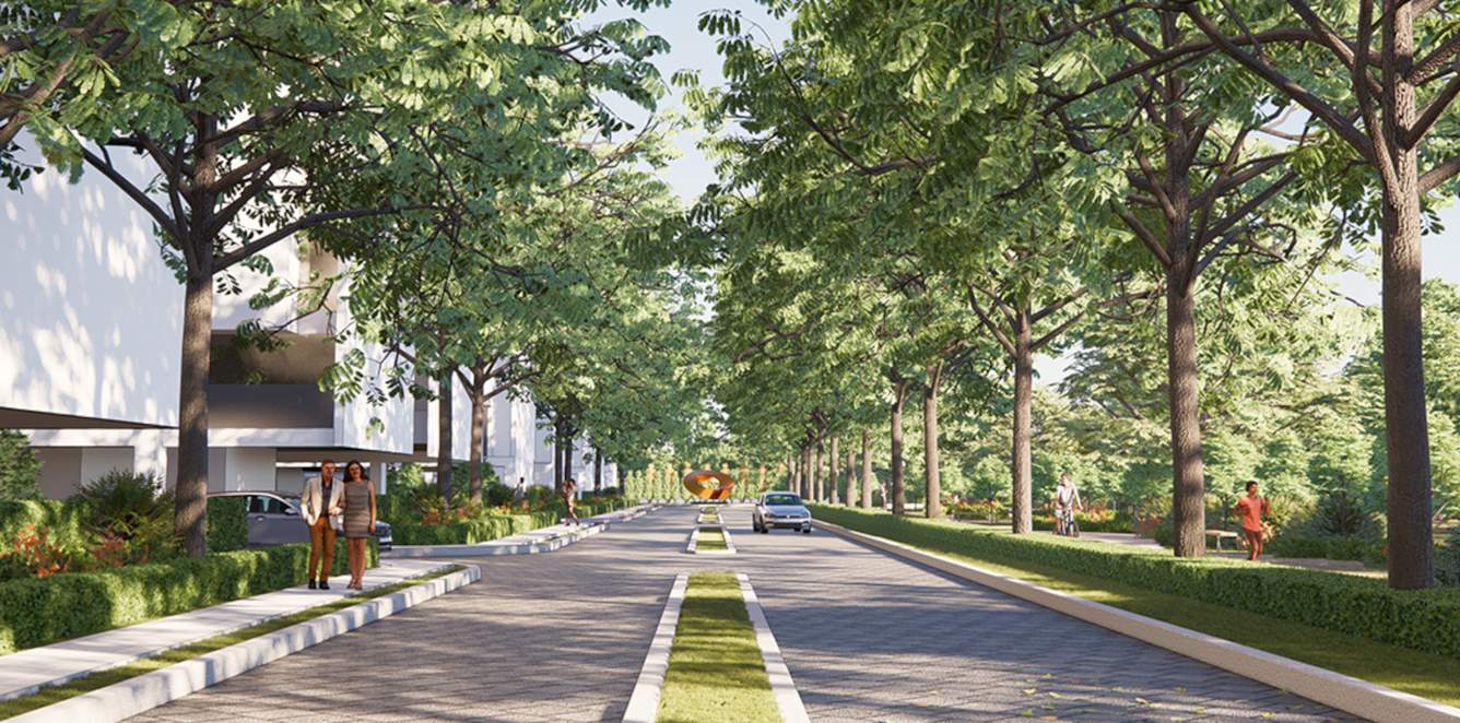  city 93 Landscape Garden and Tree Planting