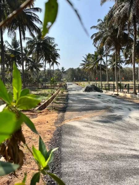 Internal Roads & Footpaths 1903-serinity Internal Roads & Footpaths