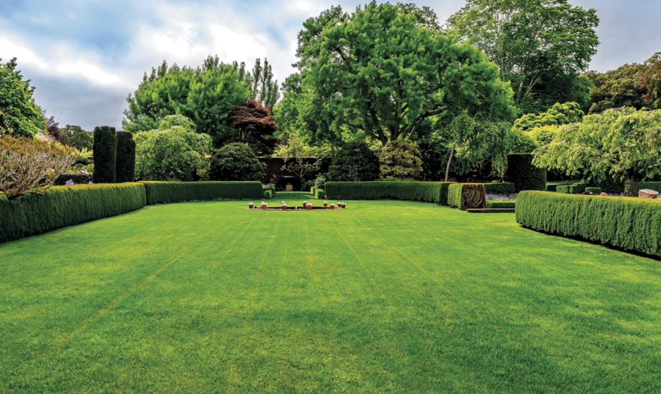  nest dove b Landscaped Gardens
