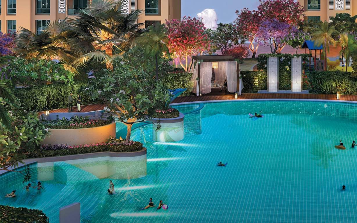  nest dove b Swimming Pool
