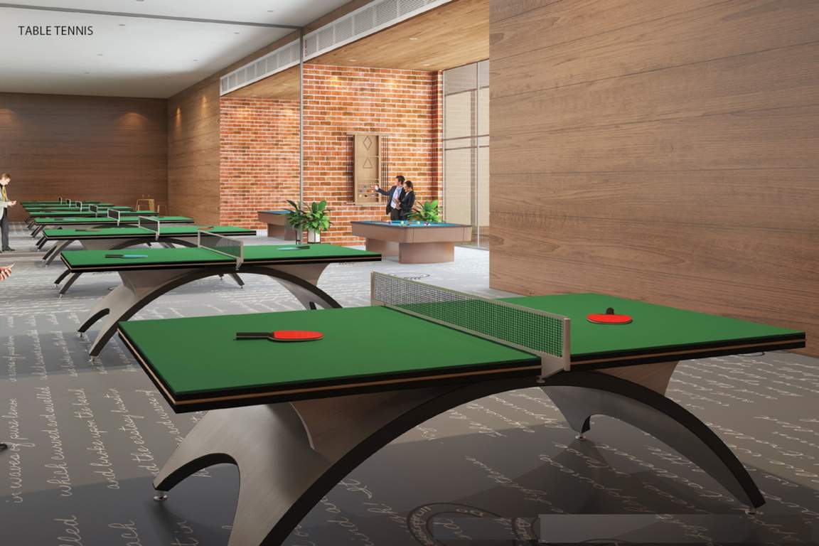  nest dove b Table Tennis
