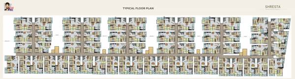  shresta DS Max Shresta Cluster Plan For Typical Floor