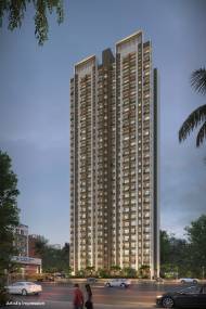 Elevation onyx Elevation