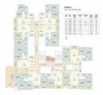 Nysa Wing C Cluster Plan For 1st Floor  nysa Nysa Wing C Cluster Plan For 1st Floor