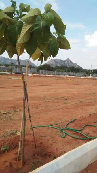  chamundeshwari-gardens Plot