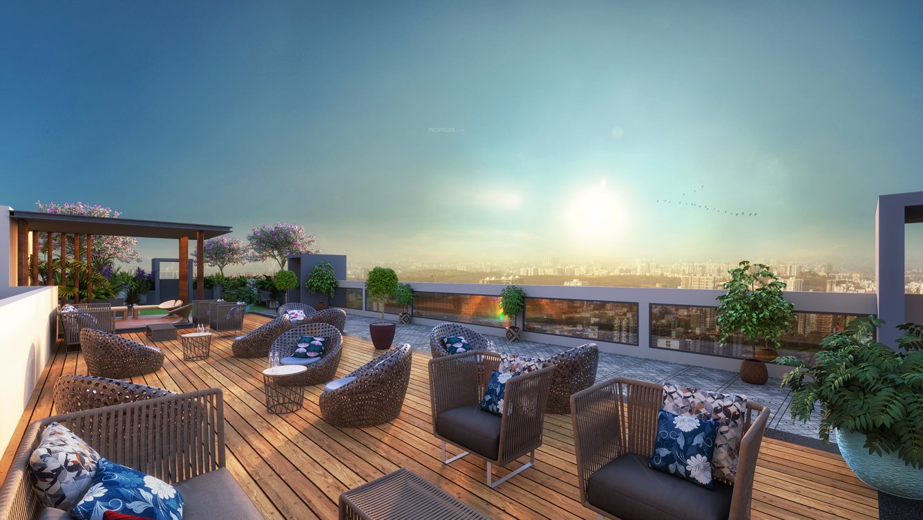  24life exotica Others