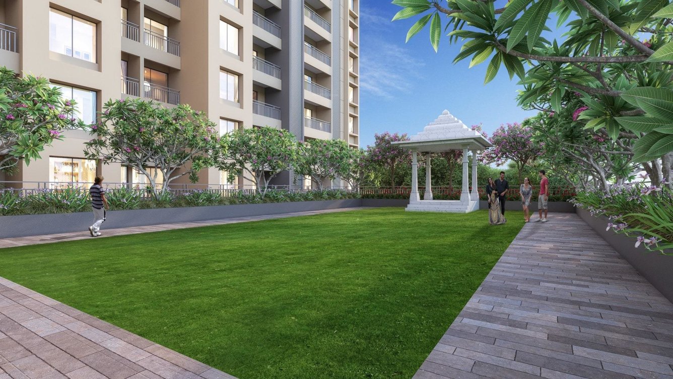  24life exotica Others