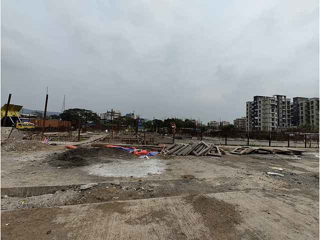 Mohan Precious Greens