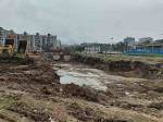 constructionStatus of Mohan Precious Greens