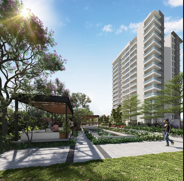 raj bay vista Others