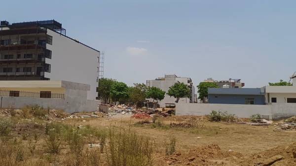  alameda-central Elevation