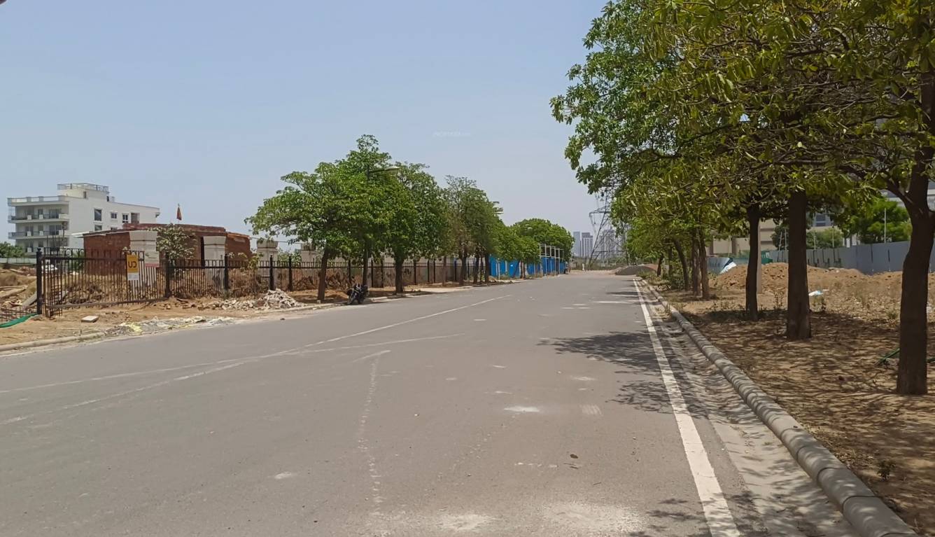 alameda central Internal Roads & Footpaths