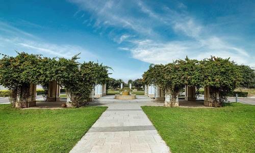 Landscape Garden and Tree Planting alameda-central Landscape Garden and Tree Planting