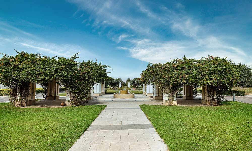 alameda central Landscape Garden and Tree Planting