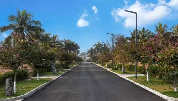 Elevation earthsong Elevation