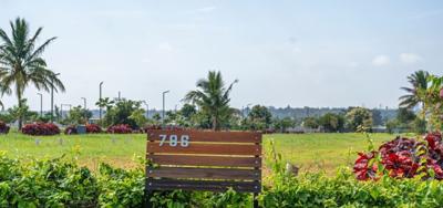  earthsong Landscape Garden and Tree Planting