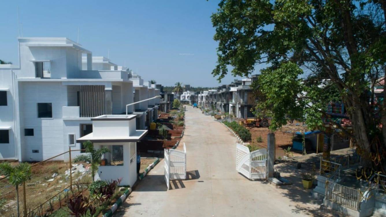  park elite phase iii Elevation