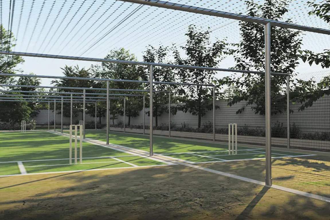  bentley goldberg Cricket Pitch