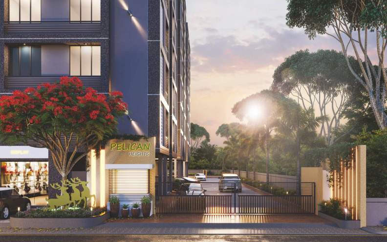  pelican heights Others