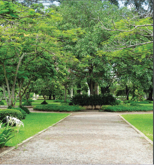  crown kolshet Others