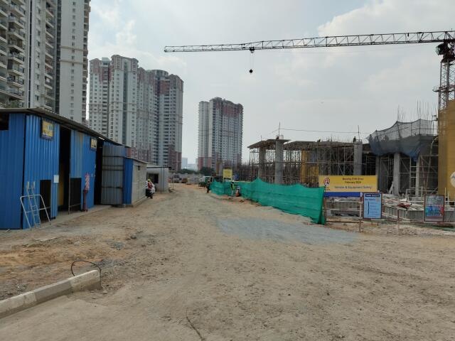 Prestige Lavender Fields