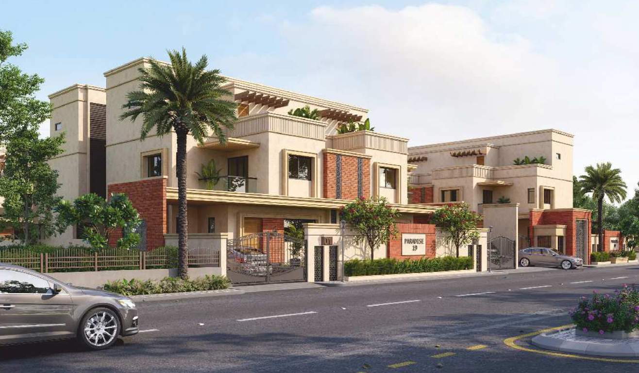  paradise 19 Elevation