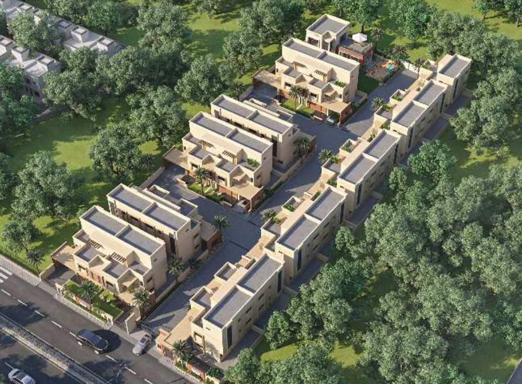  paradise 19 Elevation